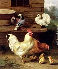 Edgar Hunt Famous Paintings - A Cockerel, Hen And Chicks With Pigeons